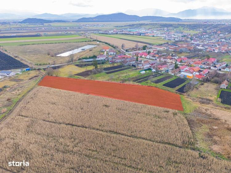 Teren de 10000 mp, în Bod