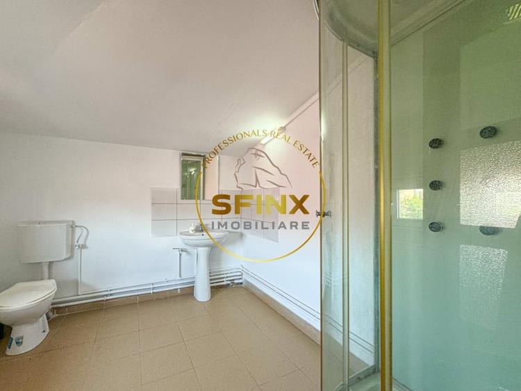 Spațiu industrial, de 103.34999847412 mp, în Theodor Pallady