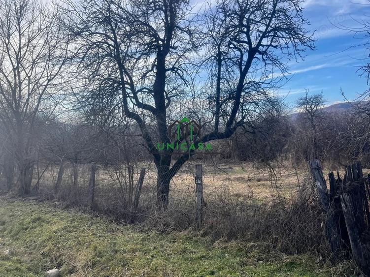 Teren de 813 mp, în Dăești
