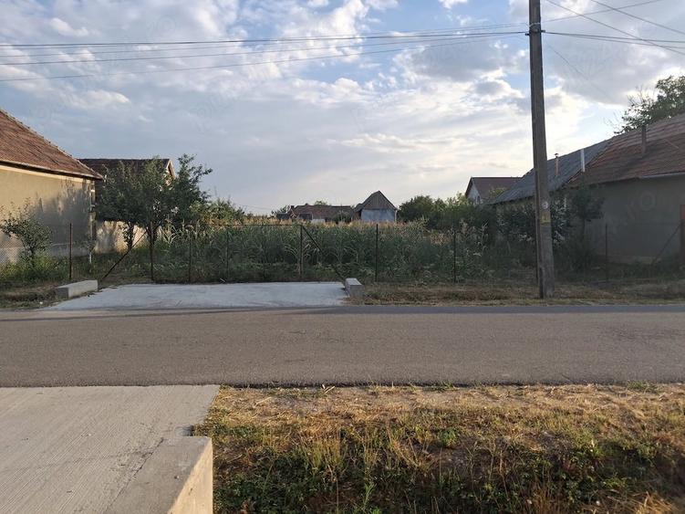 Vand loc de casa in Alparea - 2