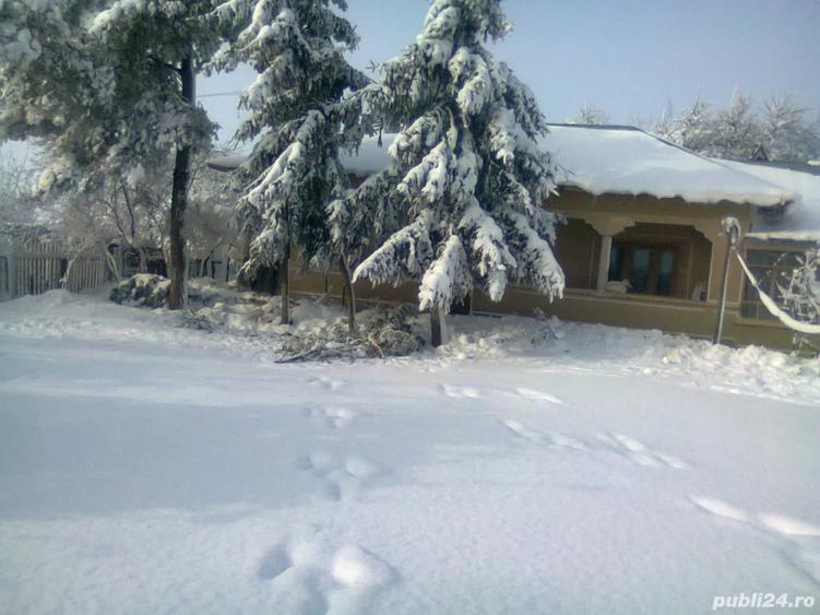 Casă cu 4 camere cu Teren 13000 Mp în Oncești