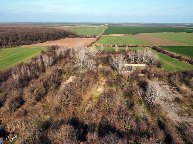 Teren Construcții intravilan de 70291 mp, în Micșunești-Moară
