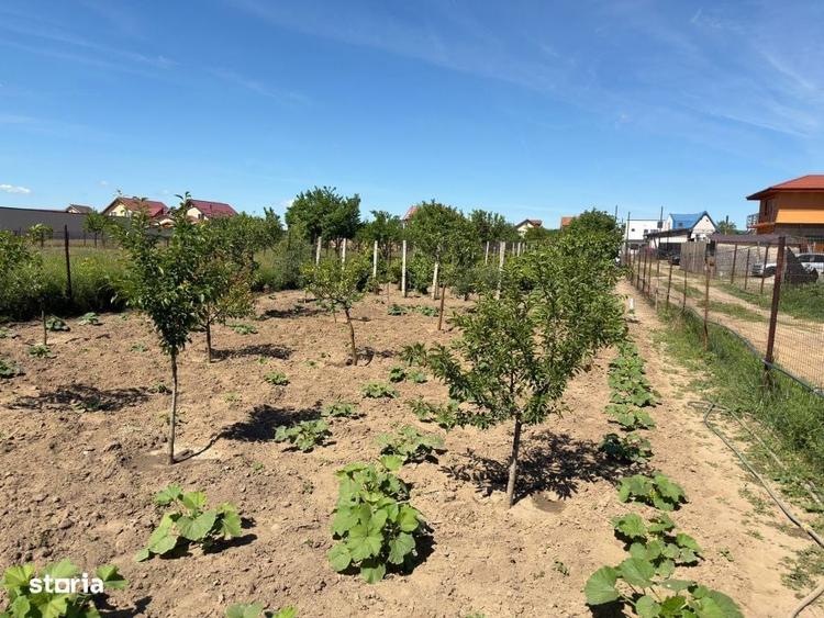 Teren de vanzare in Cernele 1000 mp, parcelabil, ideal pentru cons - 2