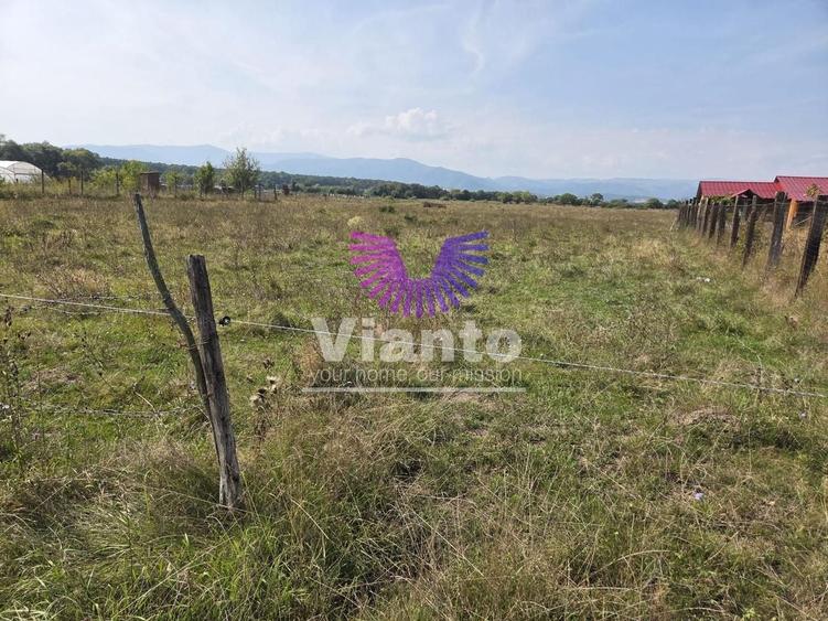 Teren agricol extravilan de 1500 mp, în Șelimbăr