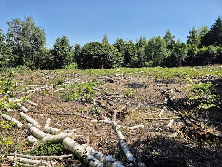 Teren de 3700 mp, în Viștișoara