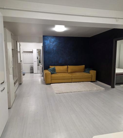 Apartament 2 camere open-space, zona Tatarasi, Kaufland-Bloc nou, ID: 160056 - 12