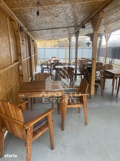 Casă cu 5 camere cu Teren 397 Mp în Crișan