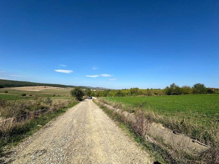 Teren de 4300 mp, în Adâncata