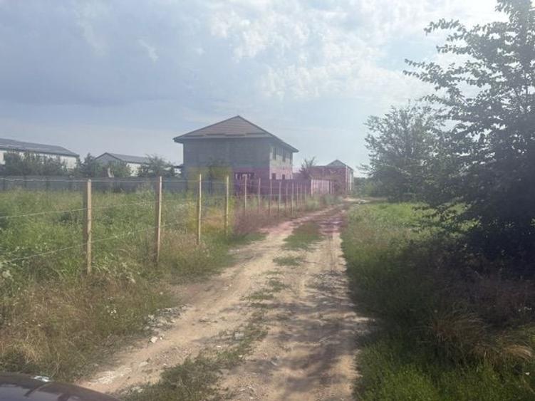 Teren în Bragadiru