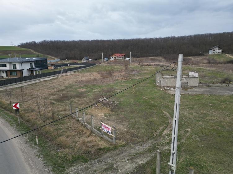 Teren Construcții intravilan de 3500 mp, în Mogoșești