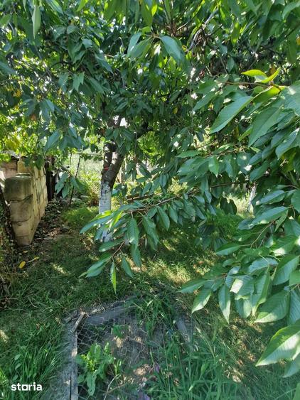 De vanzare casa in Roman din caramida, teren de 458 mp, Pret 78000euro - 12