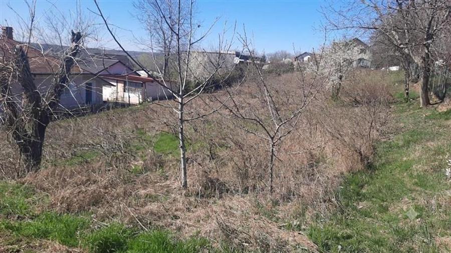 Teren Construcții intravilan de 1261 mp, în Aroneanu