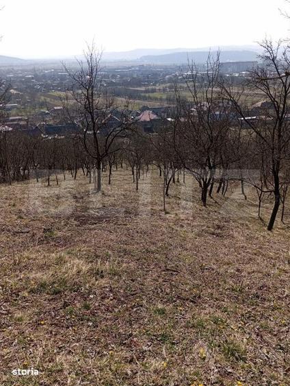 Casă cu 4 camere cu Teren 3100 Mp în Central