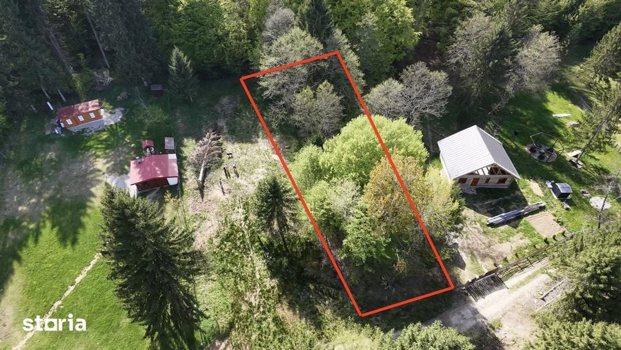 Teren de construit Valea Avrigului, Jud Sibiu, 1000mp, zona verde - 3