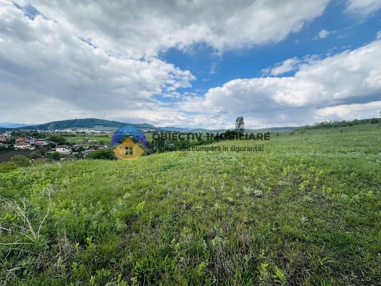 Teren agricol intravilan de 3000 mp, în Ciritei