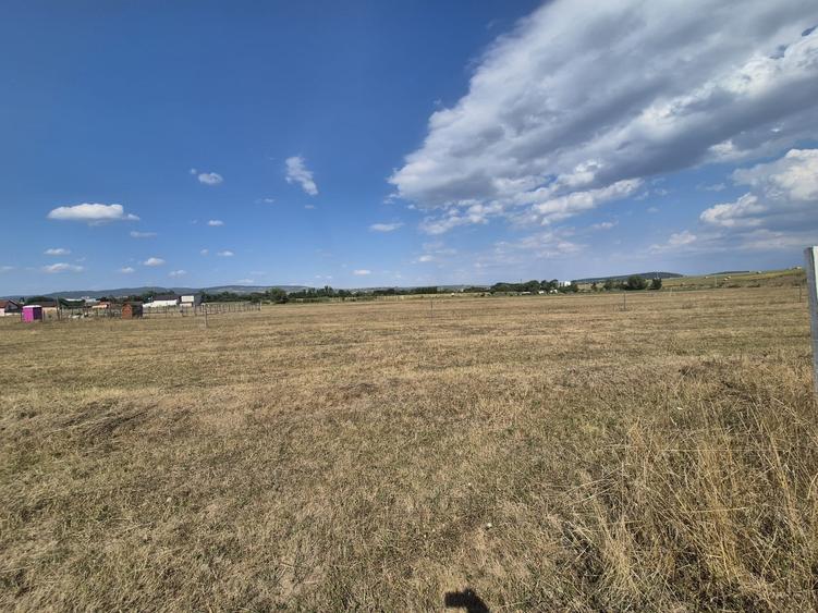 Teren Construcții intravilan de 491 mp, în Șelimbăr