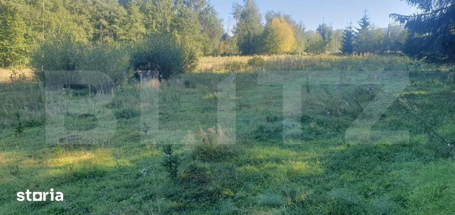 Teren intravilan, 14.540 mp, zona Neagra Sarului - Vatra Dornei - 4