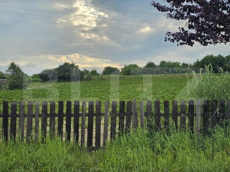 Teren intravilan, 44 ari, Maritei, com. Darmanesti - 2