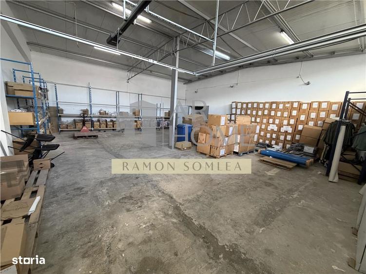 Vanzare Hala si teren industrial in Paulestii noi , Prahova - 15