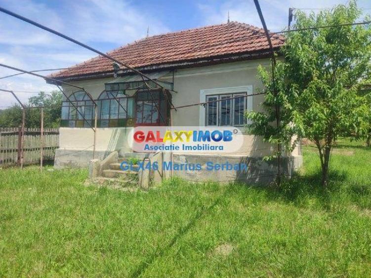 Teren de 4700 mp, în Voinești