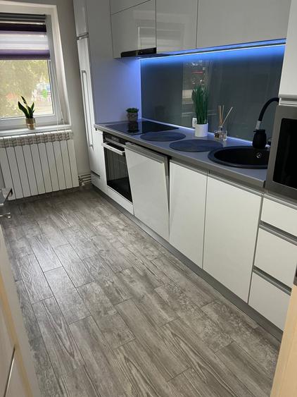 Apartament cu 2 camere semidecomandat în Micălaca