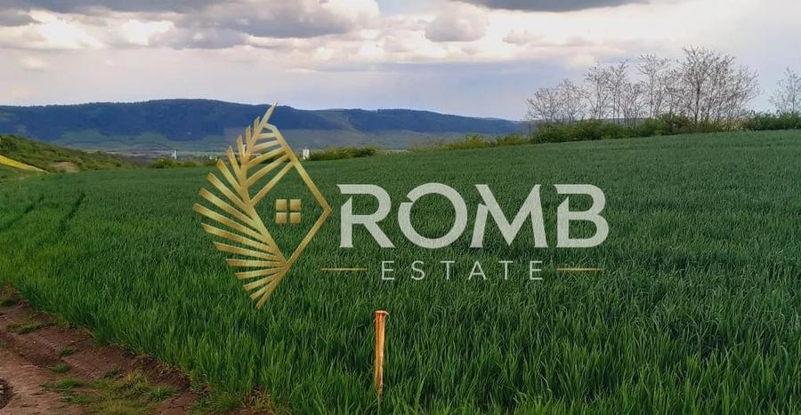 Teren agricol extravilan de 45000 mp, în Luna de Jos