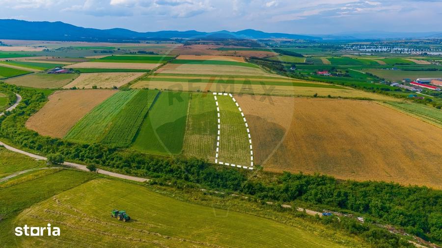 Oportunitate pentru fermieri: 10.800 mp teren arabil in Rotbav, Bra?ov - 5