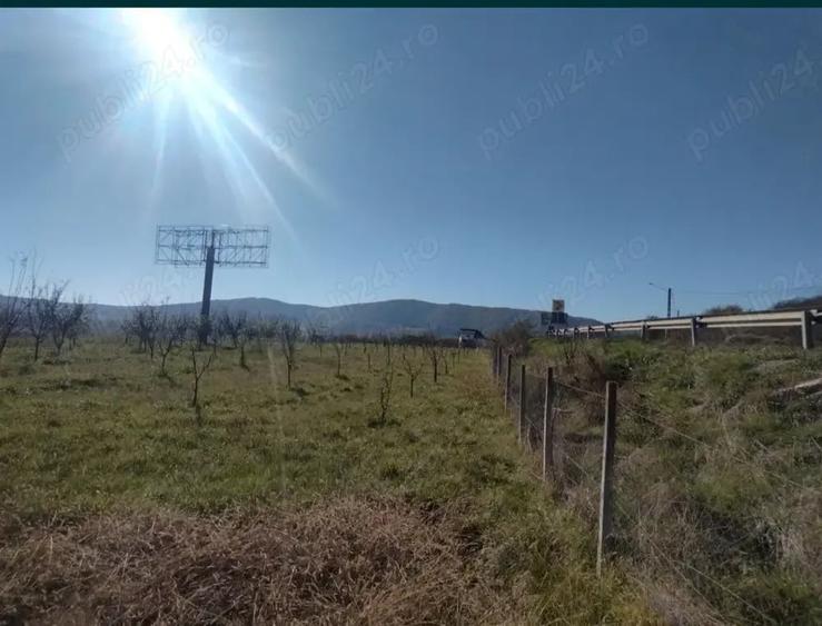 Teren de 12300 mp, în Crainimăt