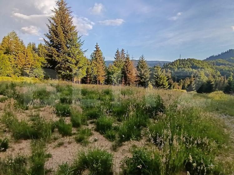 Teren Construcții intravilan de 1500 mp, în Sud