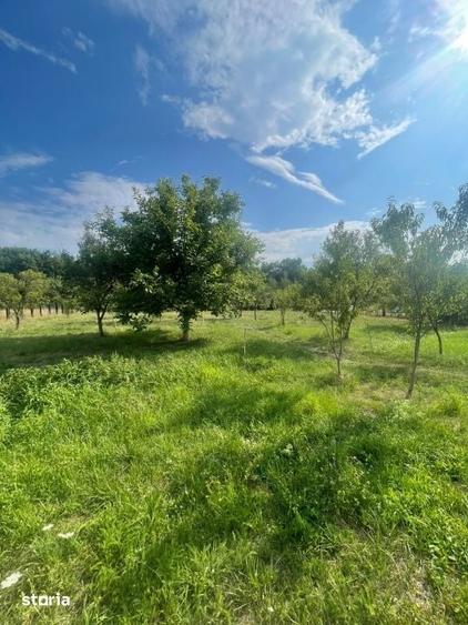 Teren intravilan, 25 ari, zona Tauti de Sus - 2