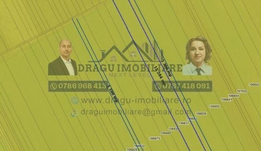 Teren agricol extravilan de 75000 mp, în Munteni
