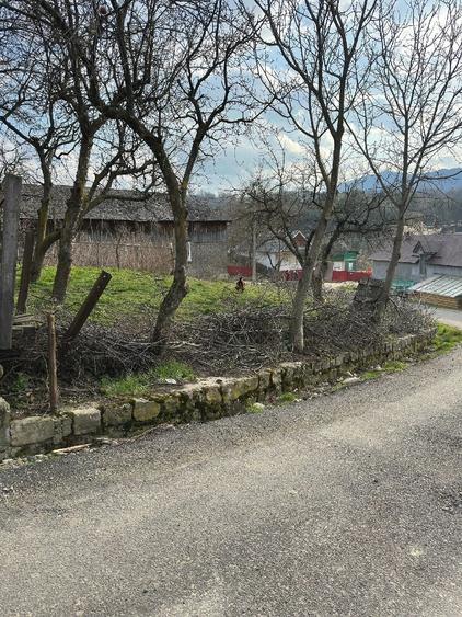 Teren de 1000 mp, în Hăulișca