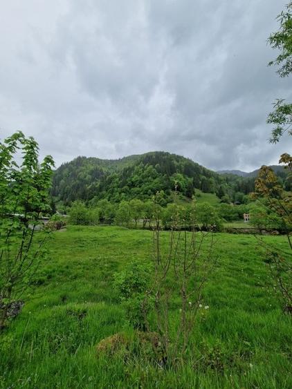 Teren Construcții intravilan de 1775 mp, în Sătic