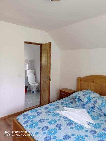 Hotel/Pensiune, de 16 mp, în Ciocănești
