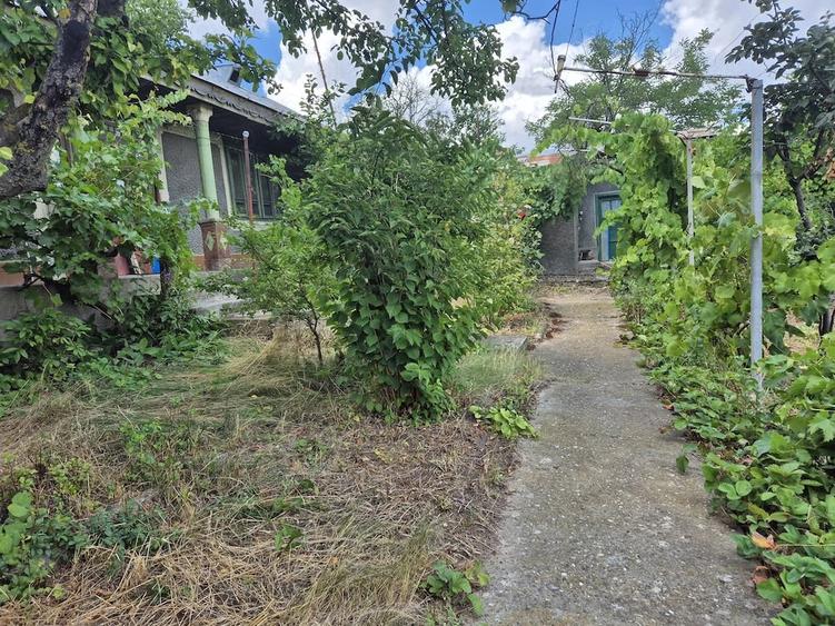 Casă cu Teren 5867 Mp în Vârlezi