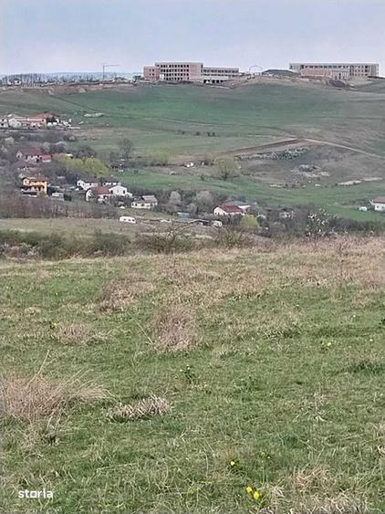Teren de 2500 mp, în Borhanci