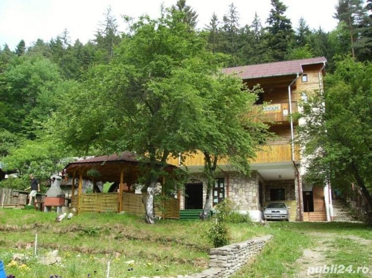 Spațiu comercial, de 800 mp, în Bistrița