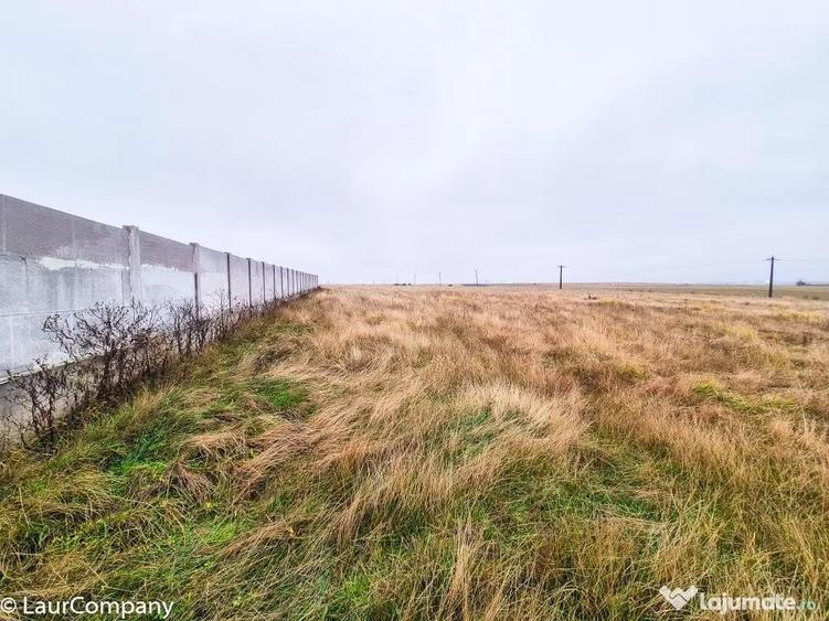 Teren intravilan Bradu Arges - 6