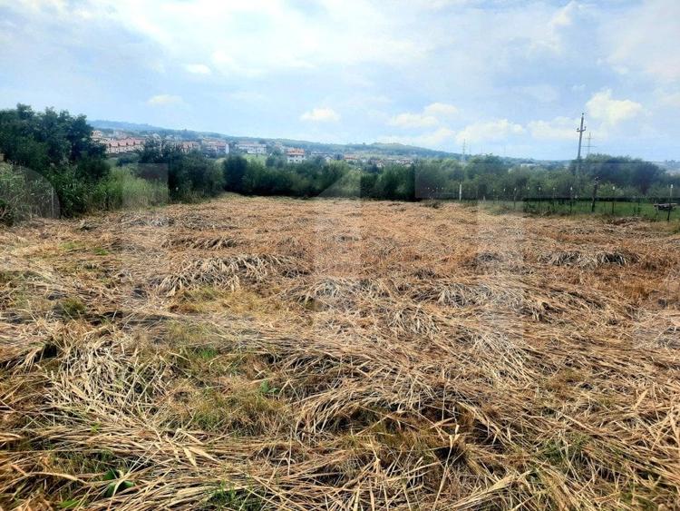 Teren Construcții intravilan de 2506 mp, în Borhanci