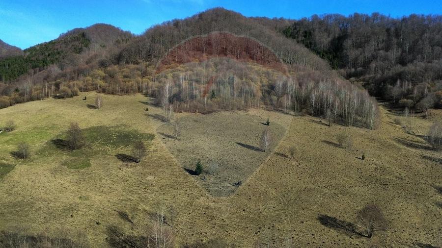 Teren agricol extravilan de 16466 mp, în Mara