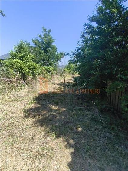Casă individuală cu 3 camere cu Teren 4859 Mp în Unguriu