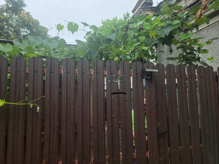 Casă cu 2 camere în Central