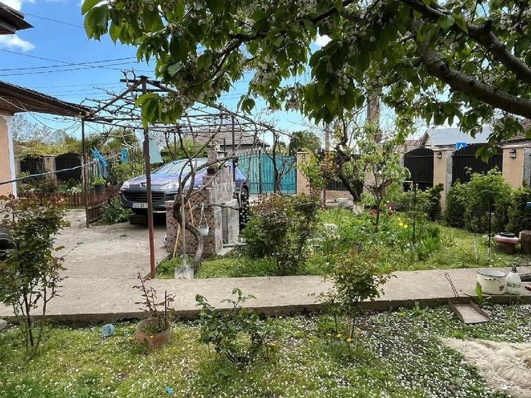 Casă cu Teren 650 Mp în Traian