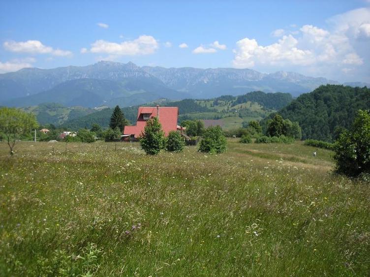 Teren intravilan de 3700 mp, în Moieciu de Jos