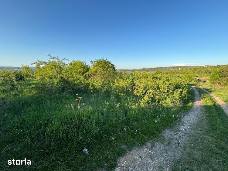 Teren de 3500 mp, în Sopor