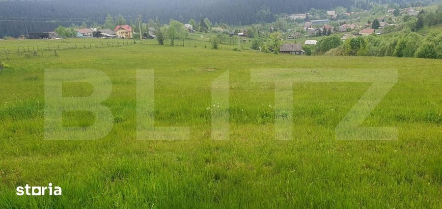 Teren de 9964 mp, în Central