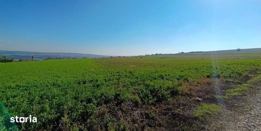Teren de 7088 mp, în Havârna