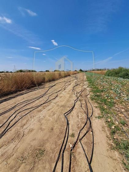 Teren agricol intravilan de 2470 mp, în Copăceni
