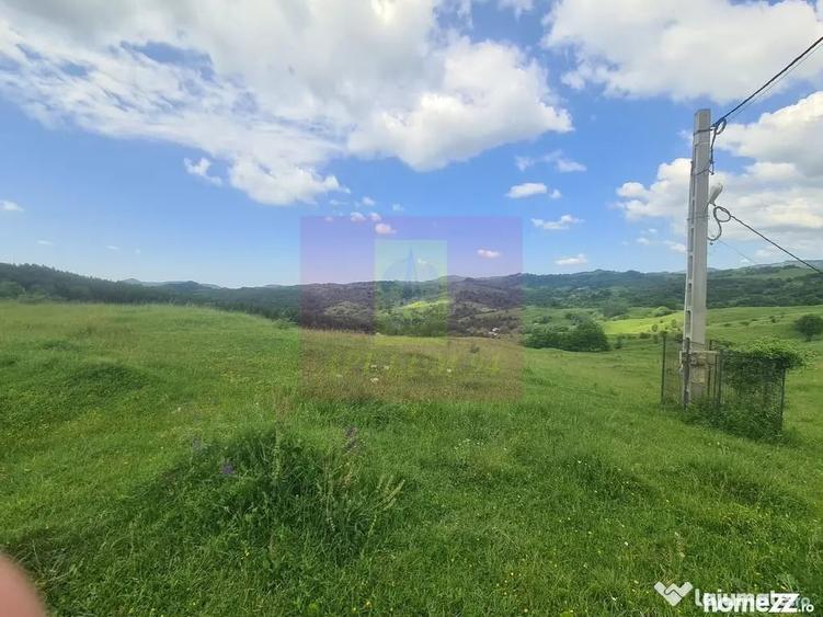 Teren de 9037 mp, în Plaiul Tălii