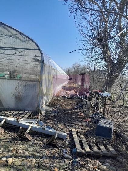 Teren Construcții intravilan de 3144 mp, în Roșiori